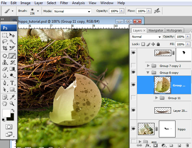 hippo, photoshop, nest, egg, shell, flying hippo, cute, baby, wings, hippopotamus, feathers